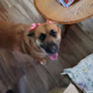 Meet your Posher, Doug